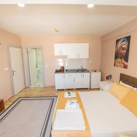 Hotel de apartamente Palvan 3*